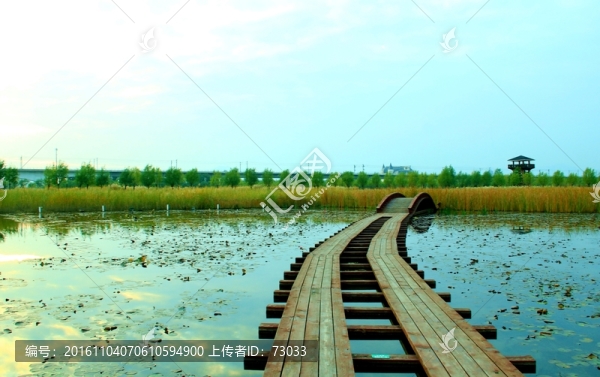 濕地木棧道