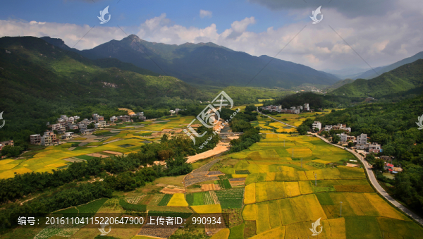 鄉(xiāng)村秋色