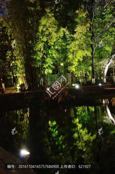 翠湖夜景