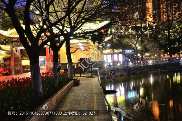 翠湖夜景