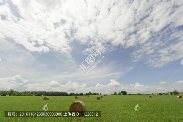 托斯卡納的國(guó)家在夏天