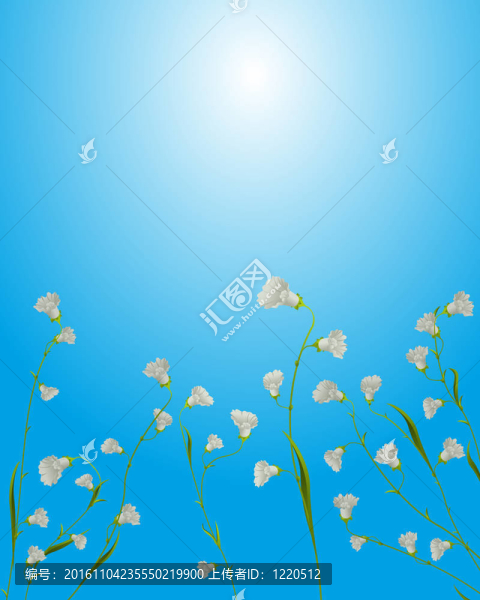 花卡