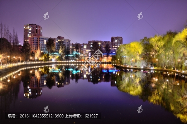 翠湖夜景