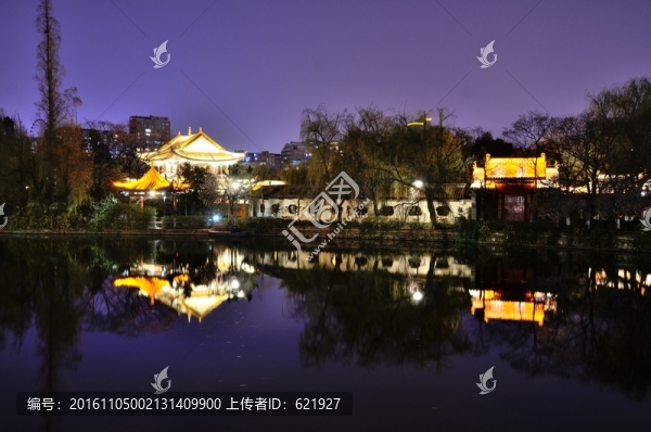翠湖夜景