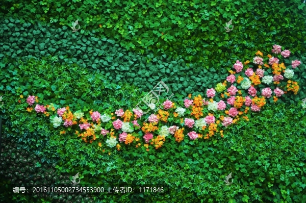 綠葉鮮花墻
