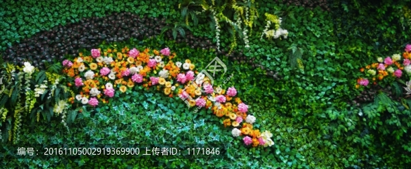 綠植墻