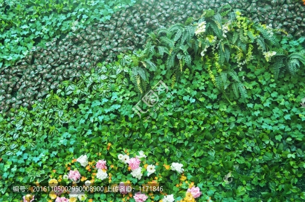 綠植墻