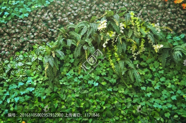 綠植墻