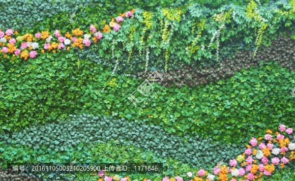 綠植墻