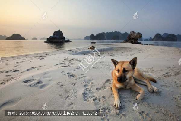 寧?kù)o的海灘