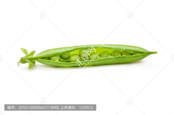 綠色的豌豆