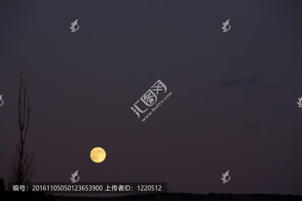 滿月上升下午晚在山上與樹在左邊沒有葉子