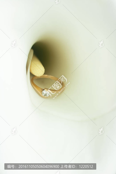 花中的鉆石戒指