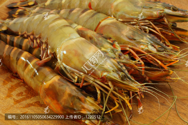 大鮮蝦；大蝦；蝦