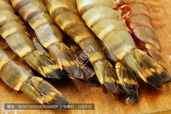 大鮮蝦；大蝦；蝦
