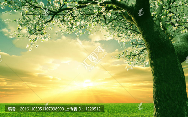 美麗的風景