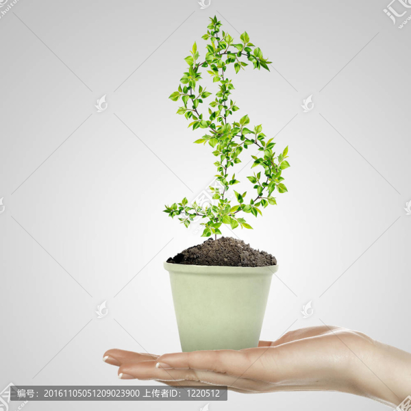 手持綠色植物貨幣符號(hào)
