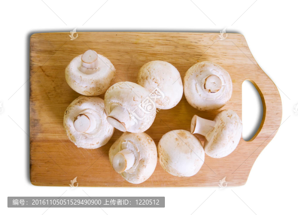 香菇蘑菇