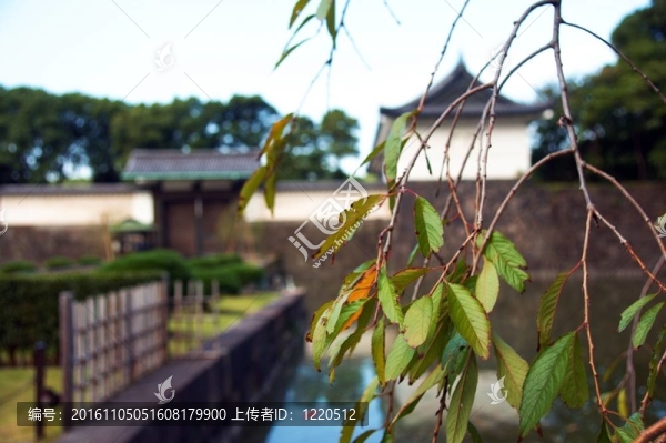 IMPERIOR宮殿和花園