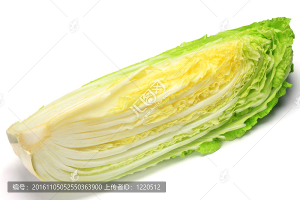 大白菜