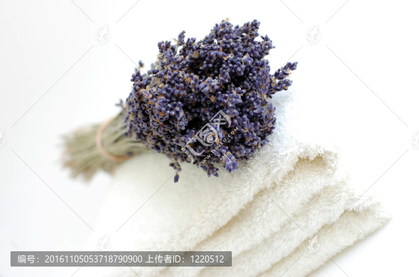 白色毛巾上的薰衣草花束