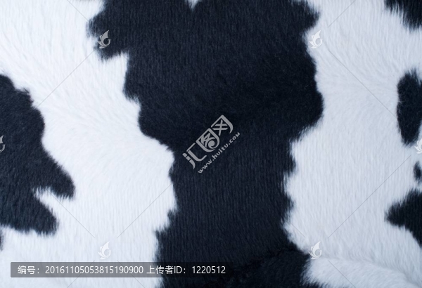 人工的黑白相間的皮毛