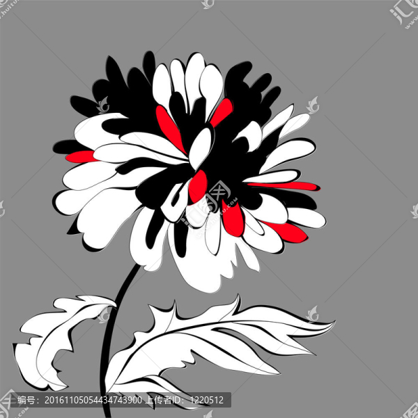 原花