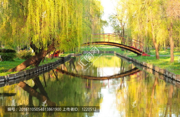公園里的水橋