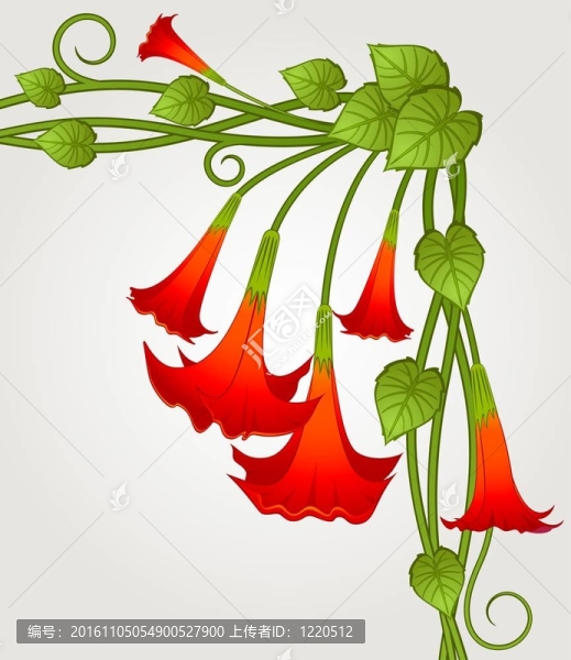 背景與美麗的花朵