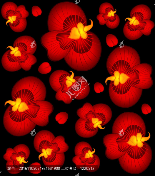 背景與美麗的蘭花