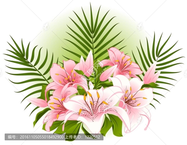 美麗的Lily,bouquet