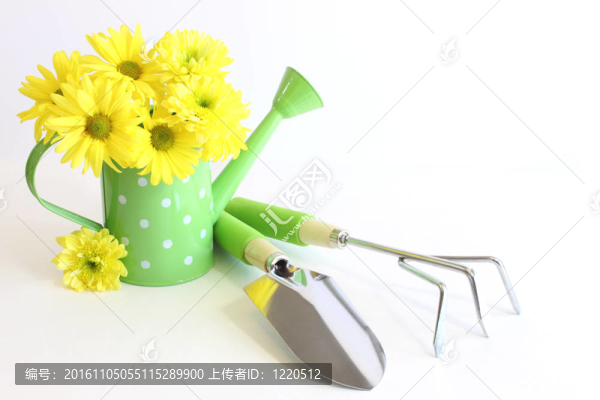 Yellow,Flowers園藝工具