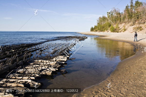 游客在海灘上散步