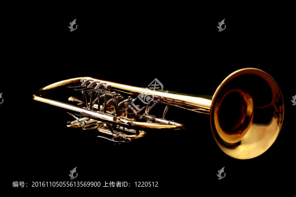 夜晚的金喇叭