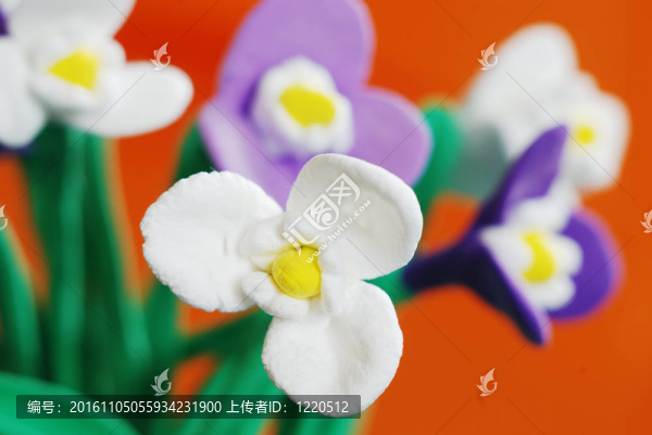 橡皮泥花的特寫