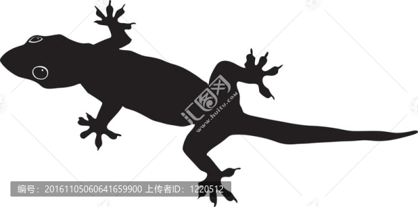 壁虎