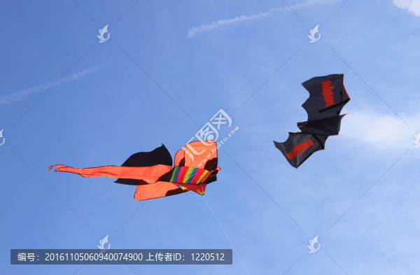 天空中的兩個(gè)風(fēng)箏