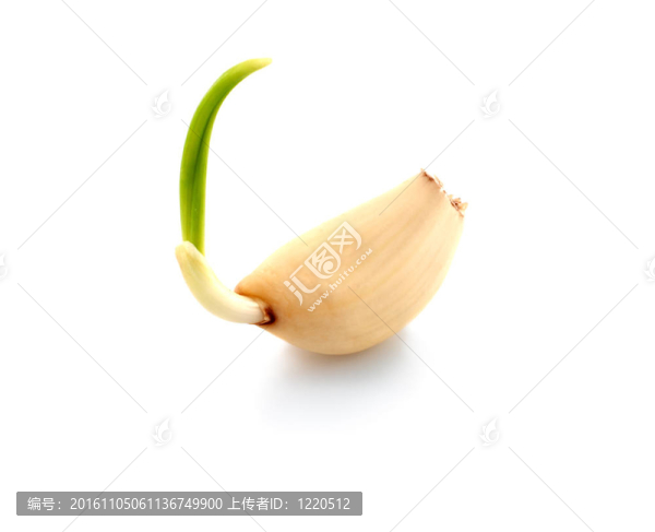大蒜