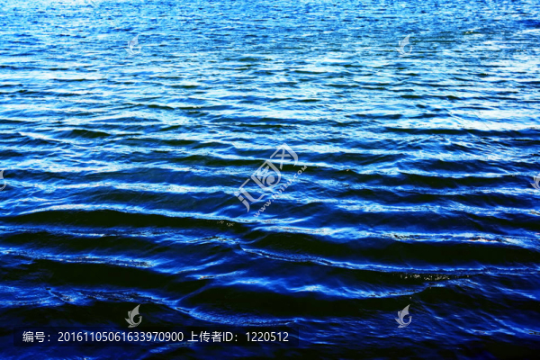 熱帶海