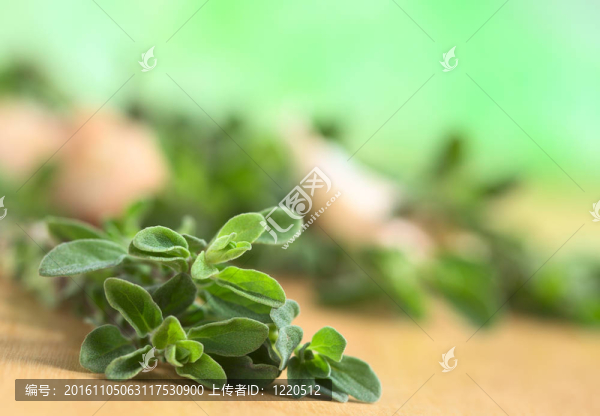 在木制板新鮮馬郁蘭（選擇性聚焦；一些在前葉焦點(diǎn)）