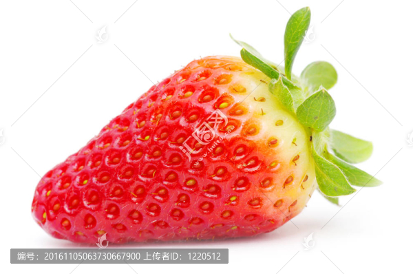 草莓