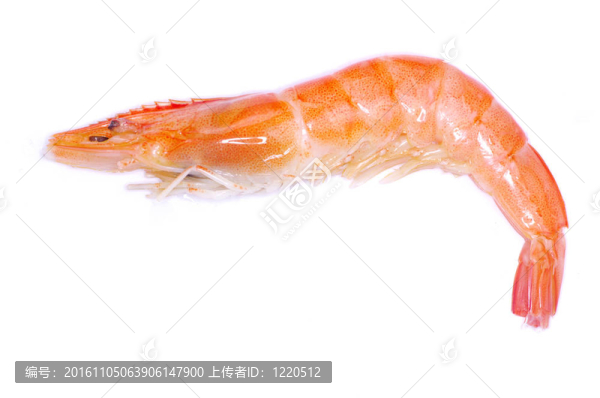 蝦
