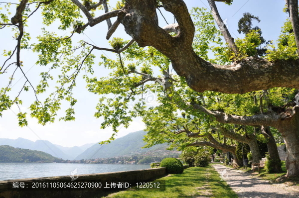 特雷梅佐鎮(zhèn)在著名的意大利科摩湖