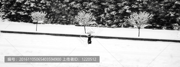 暴風(fēng)雪中的孤獨(dú)