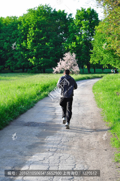 男子在夏季綠色公園跑步