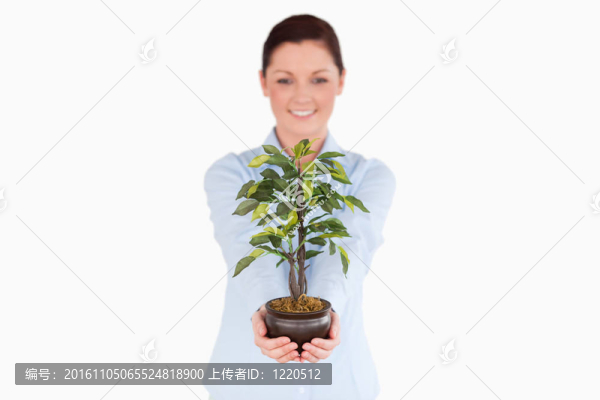 漂亮的紅頭發(fā)的女人抱著一盆植物