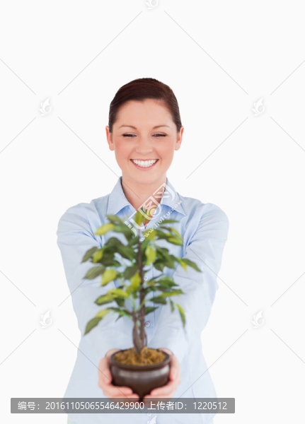 漂亮的紅頭發(fā)的女人抱著一個室內植物在白色背景上的站