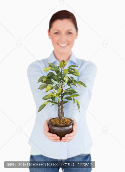 華麗的紅頭發(fā)的女人抱著一盆植物站立