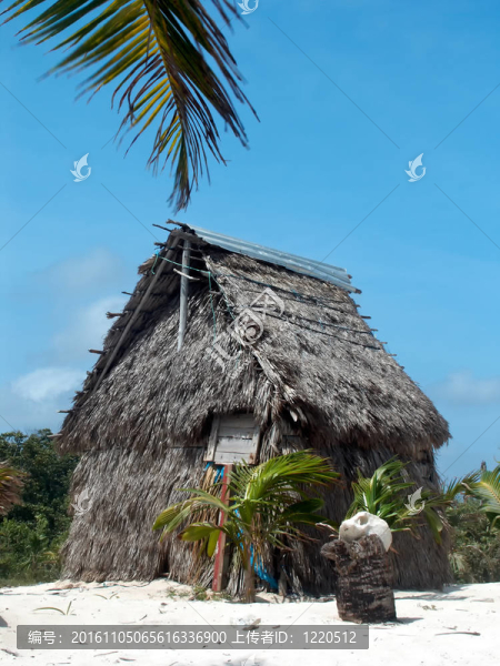加勒比海灘上的小屋。