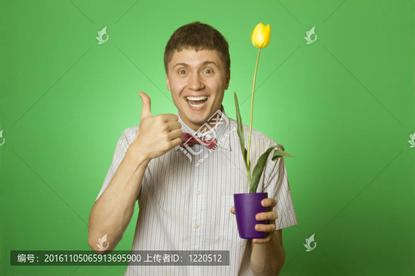 男子拿著一朵郁金香種在花盆里